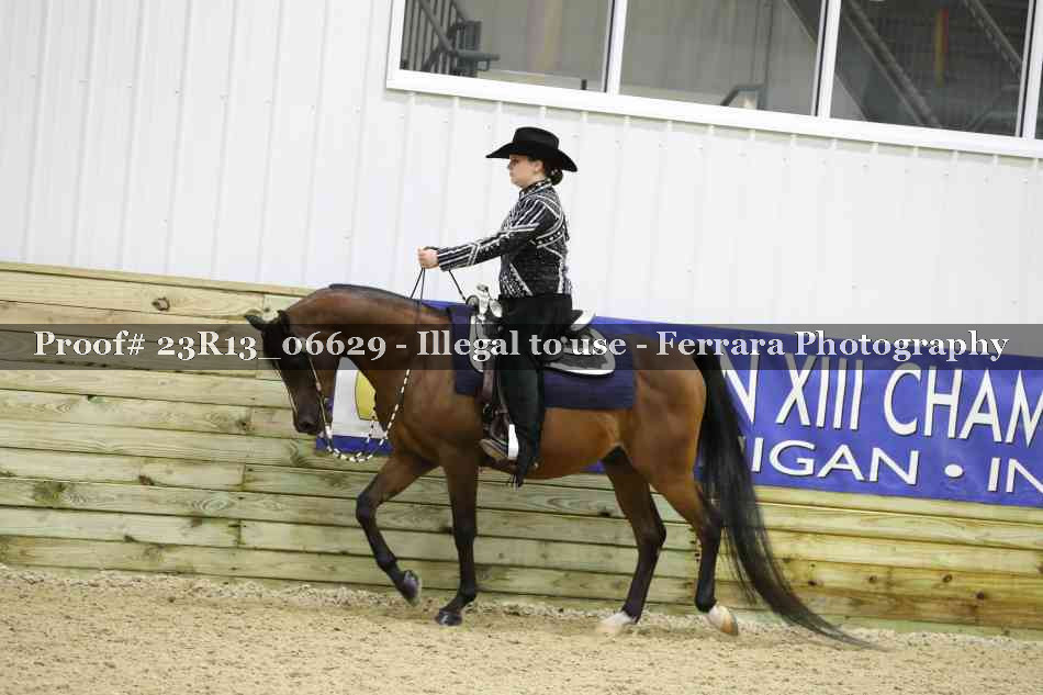 Proof Number 23R13_06629
