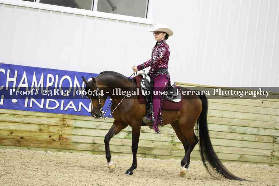 Proof Number 23R13_06634