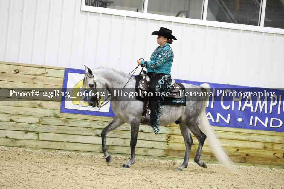 Proof Number 23R13_06642
