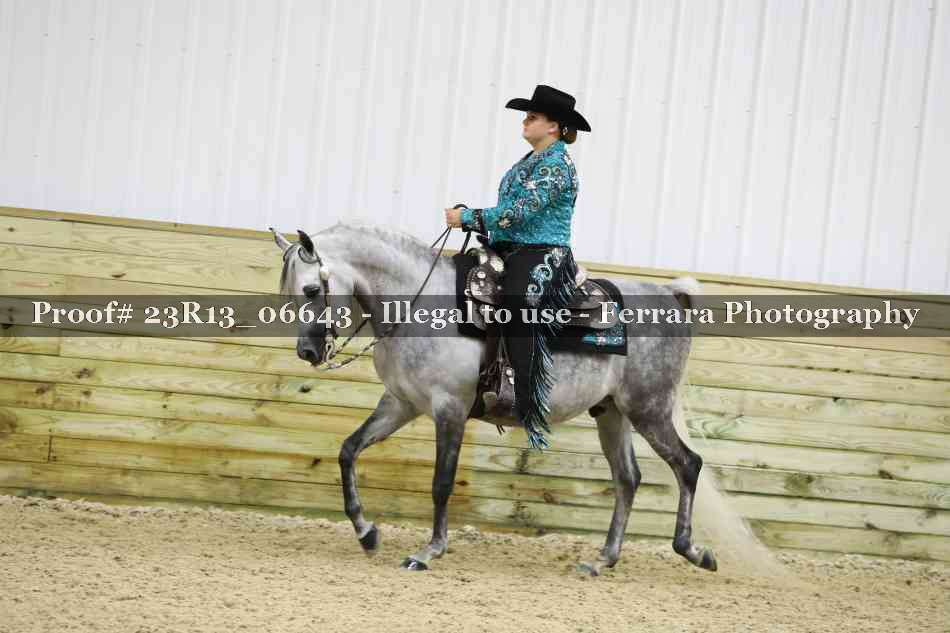 Proof Number 23R13_06643