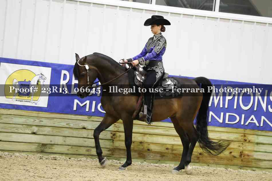 Proof Number 23R13_06645
