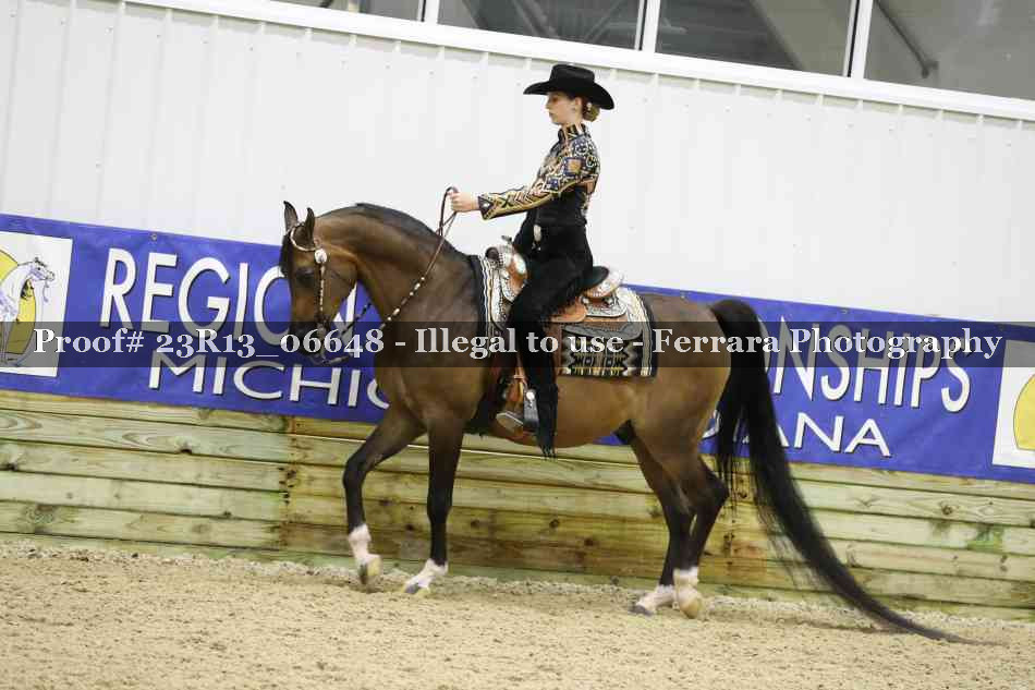 Proof Number 23R13_06648