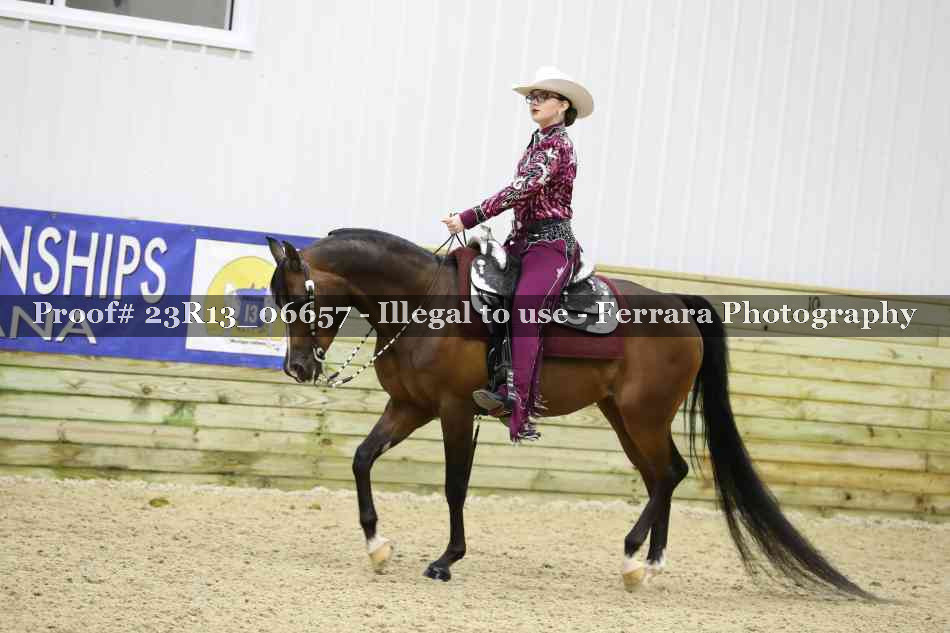 Proof Number 23R13_06657