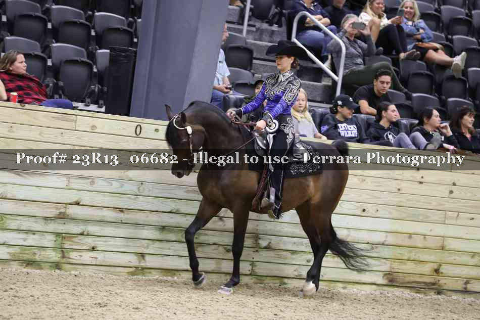 Proof Number 23R13_06682
