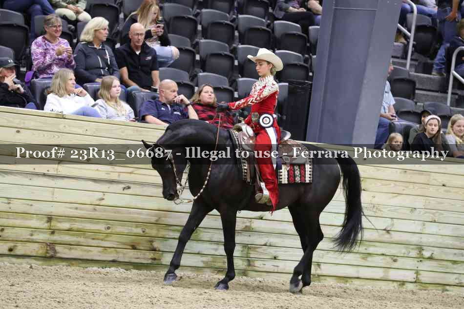 Proof Number 23R13_06687