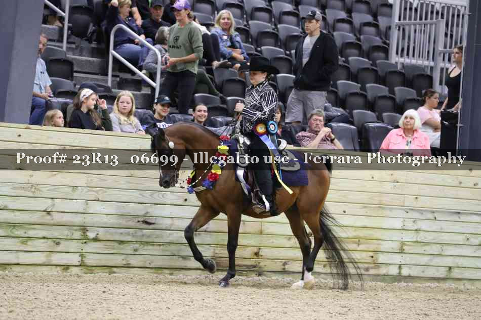 Proof Number 23R13_06699