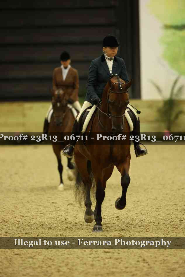 Proof Number 23R13_06711