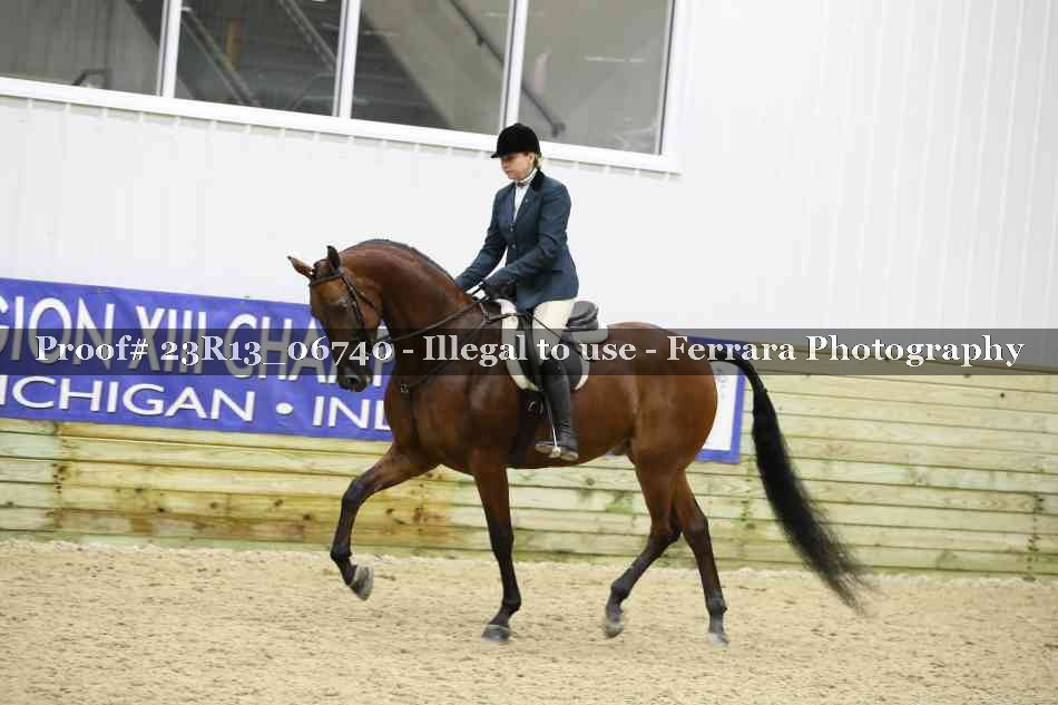 Proof Number 23R13_06740