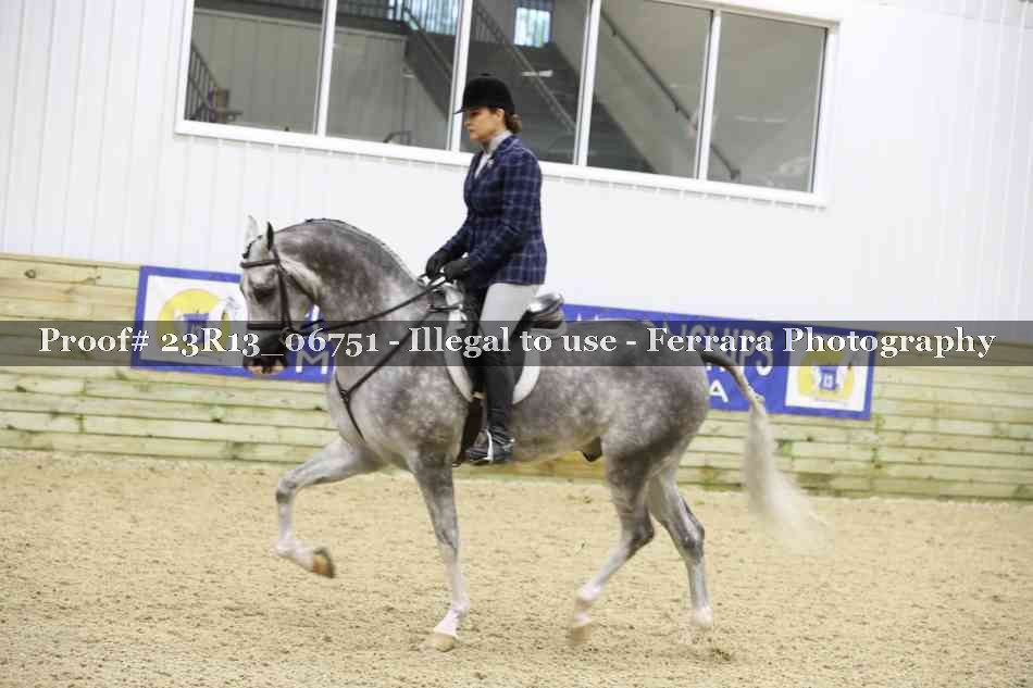 Proof Number 23R13_06751