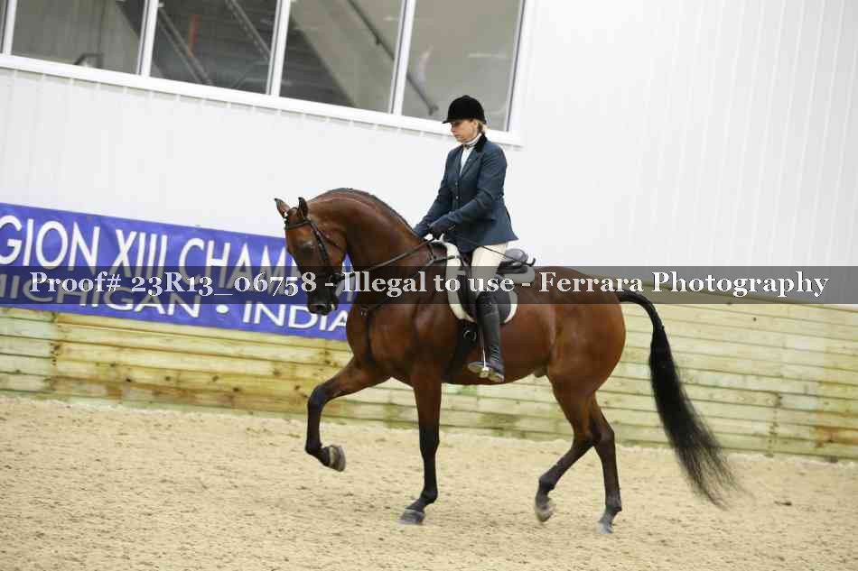 Proof Number 23R13_06758