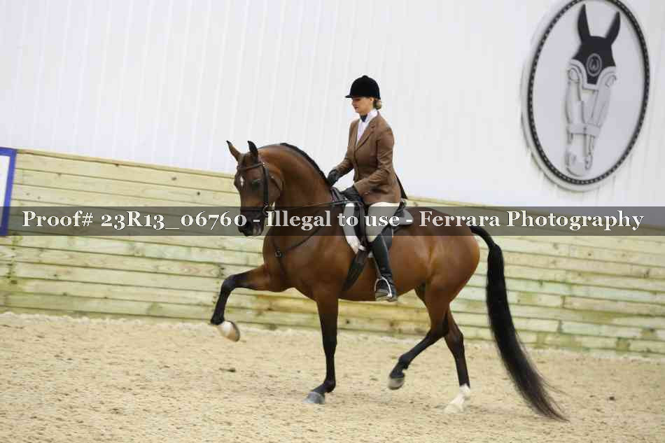 Proof Number 23R13_06760