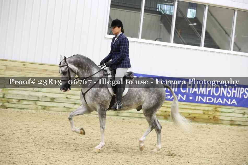 Proof Number 23R13_06767