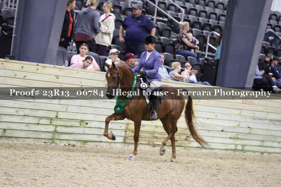 Proof Number 23R13_06784