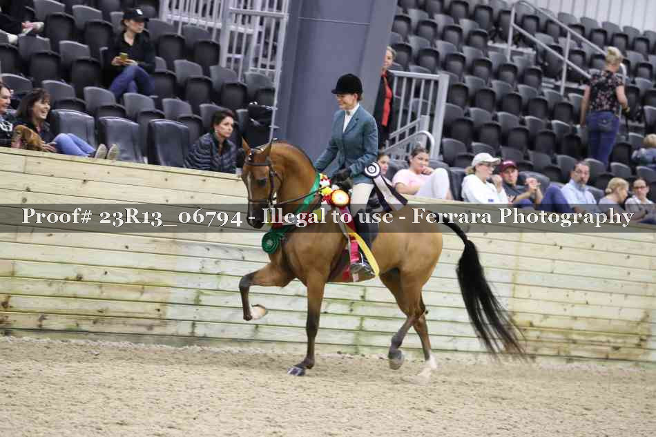 Proof Number 23R13_06794