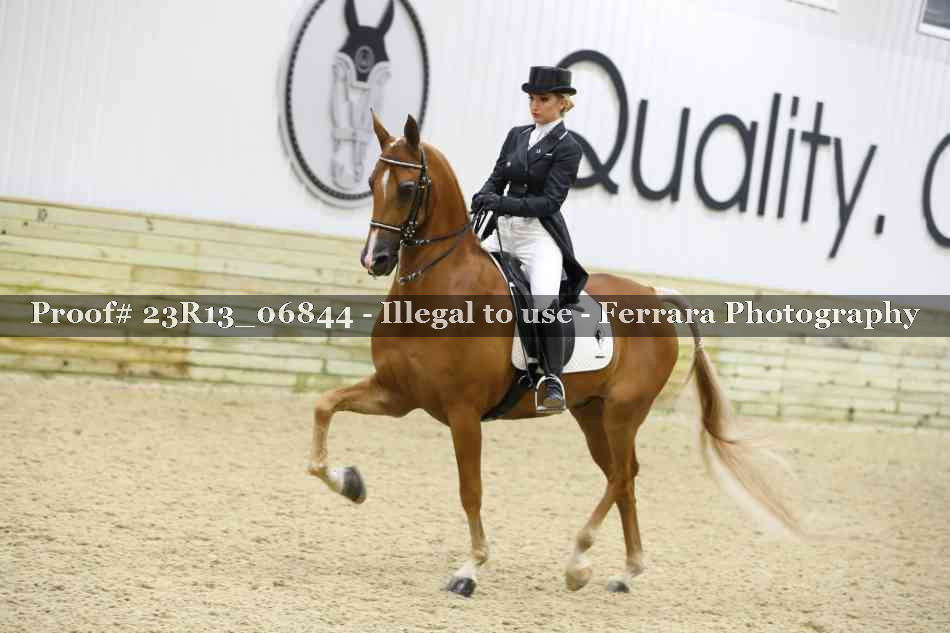 Proof Number 23R13_06844