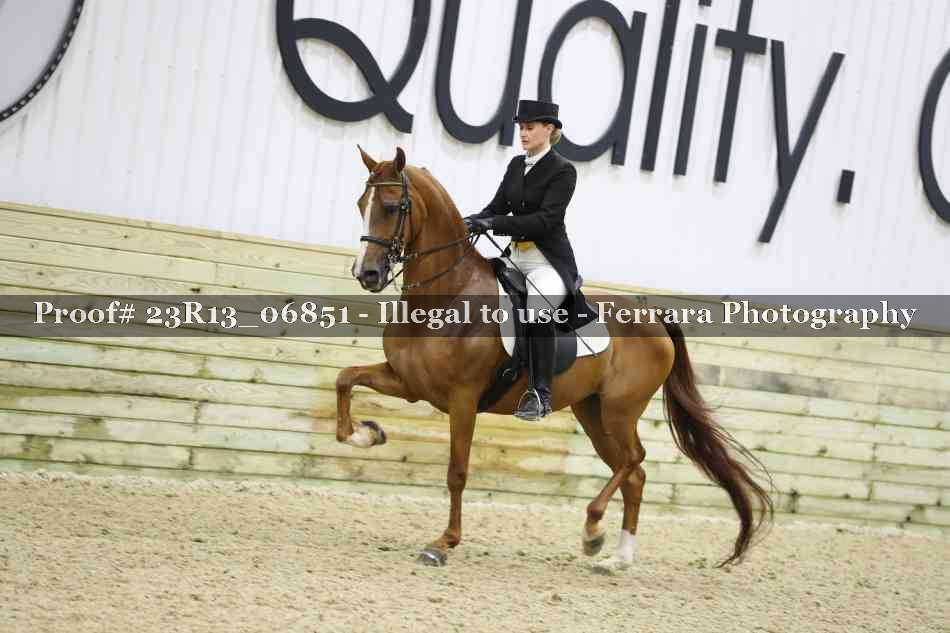 Proof Number 23R13_06851