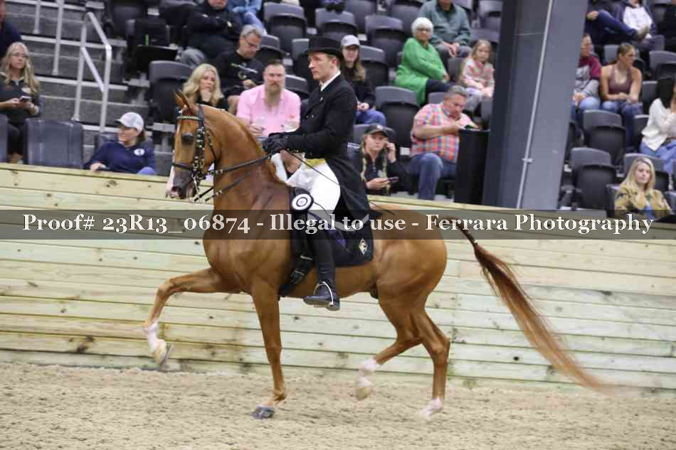Proof Number 23R13_06874