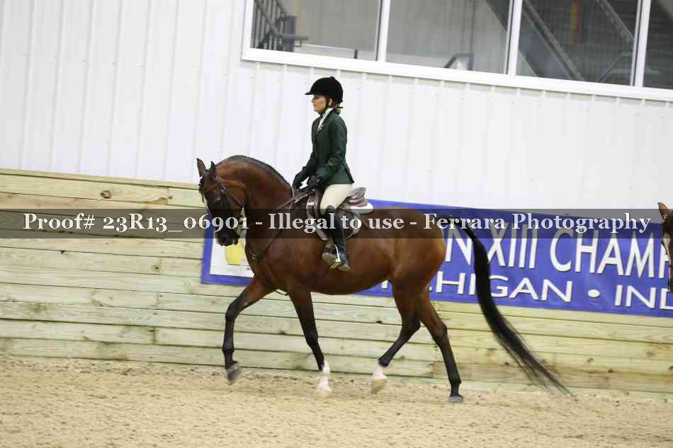 Proof Number 23R13_06901