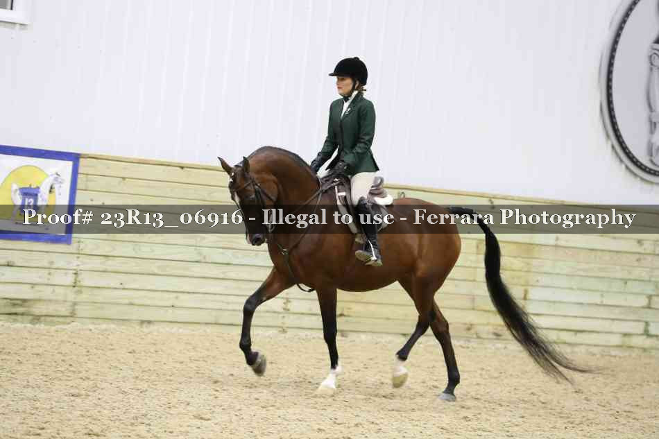 Proof Number 23R13_06916