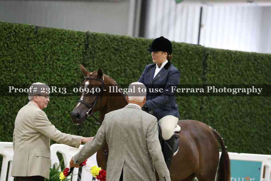 Proof Number 23R13_06940