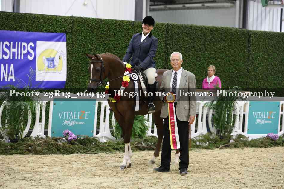Proof Number 23R13_06943
