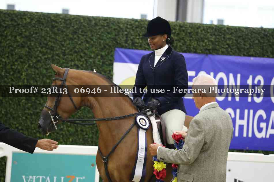Proof Number 23R13_06946