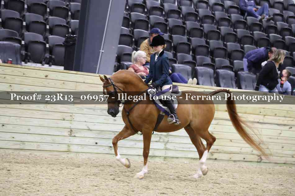 Proof Number 23R13_06957