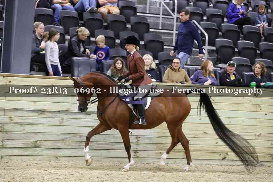 Proof Number 23R13_06962