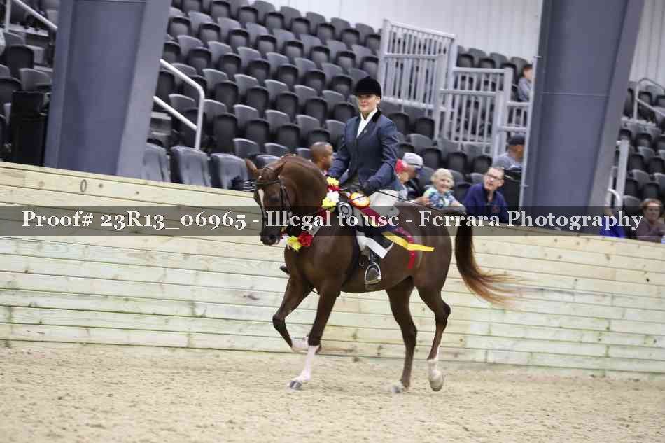 Proof Number 23R13_06965
