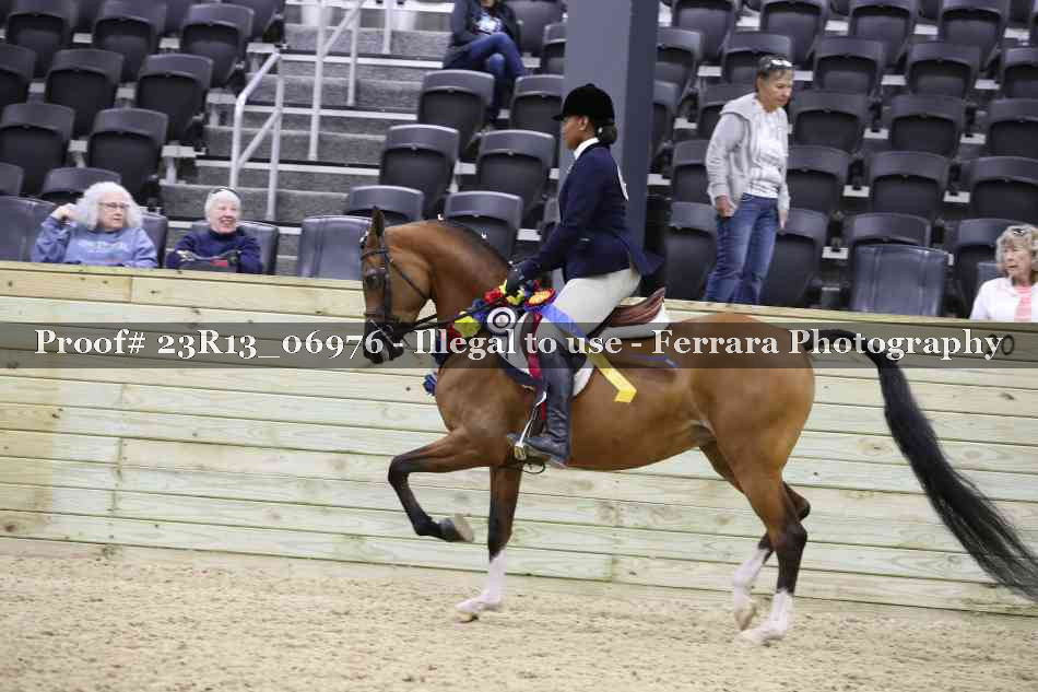 Proof Number 23R13_06976