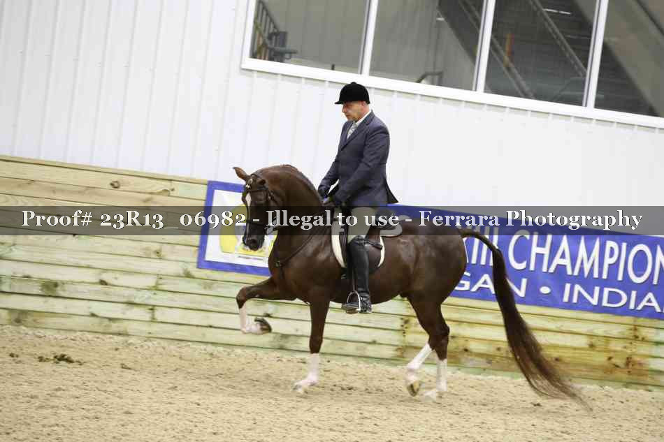 Proof Number 23R13_06982