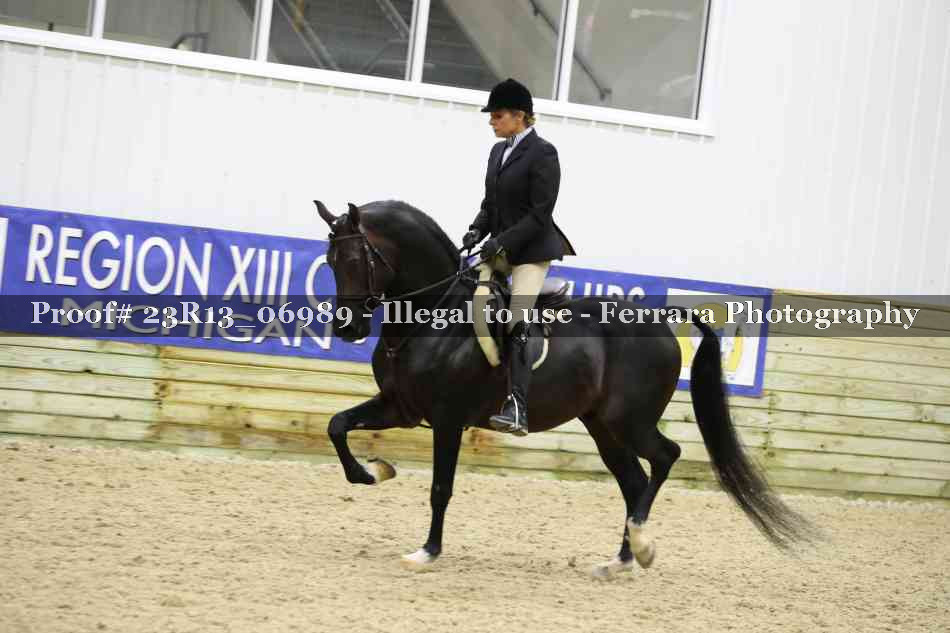 Proof Number 23R13_06989