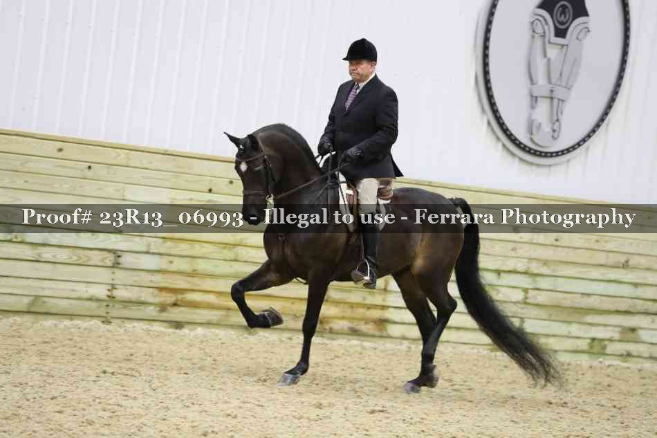 Proof Number 23R13_06993