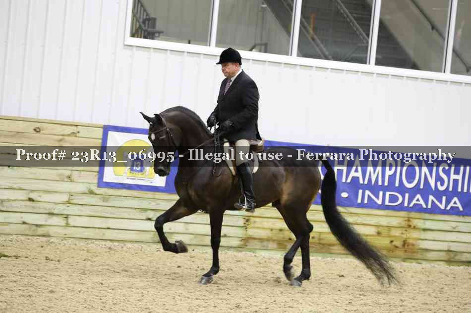 Proof Number 23R13_06995
