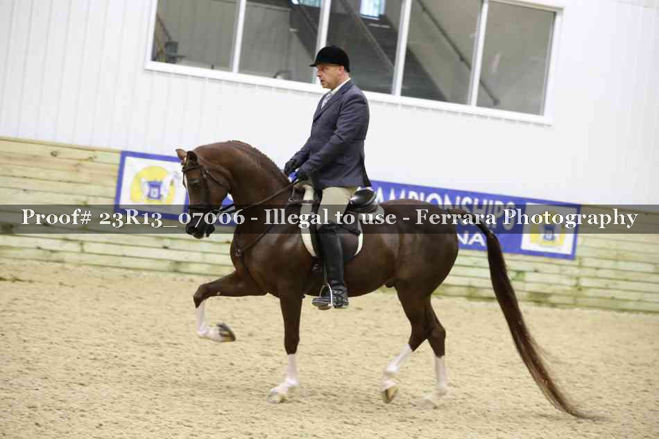 Proof Number 23R13_07006