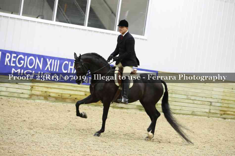 Proof Number 23R13_07019