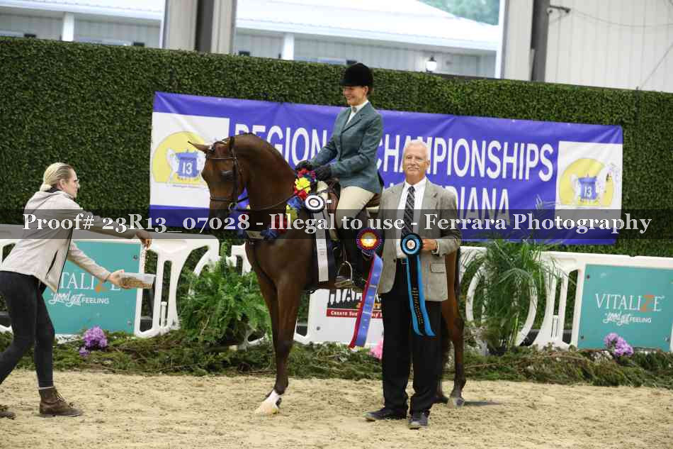 Proof Number 23R13_07028