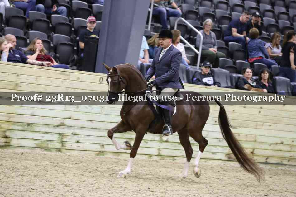 Proof Number 23R13_07031