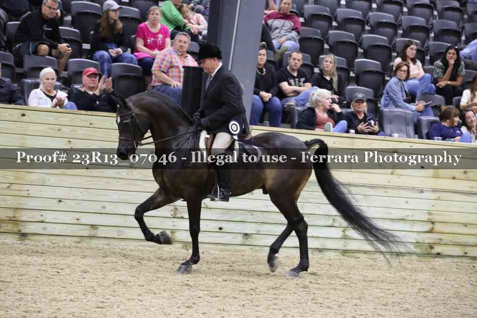 Proof Number 23R13_07046