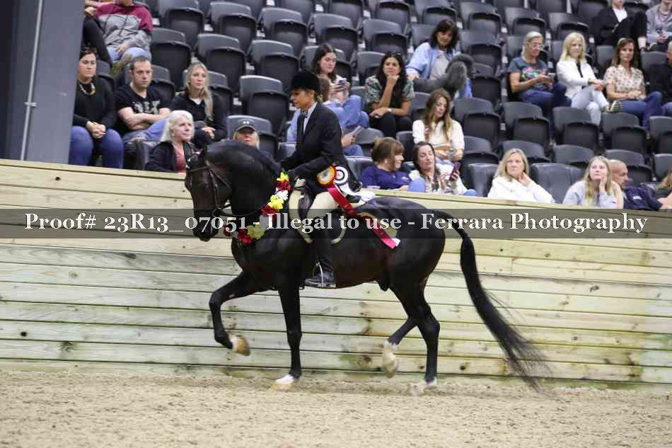 Proof Number 23R13_07051
