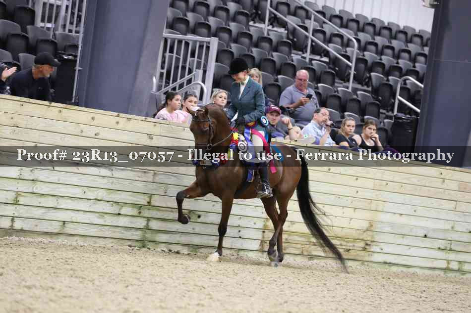 Proof Number 23R13_07057
