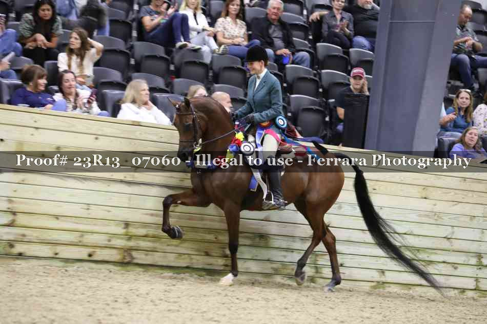 Proof Number 23R13_07060