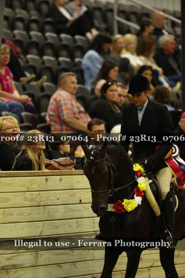 Proof Number 23R13_07064