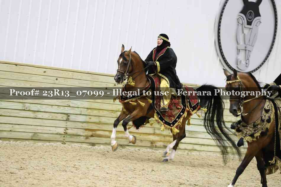 Proof Number 23R13_07099