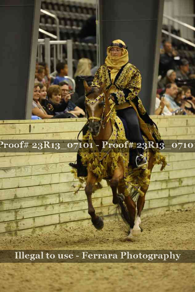Proof Number 23R13_07101