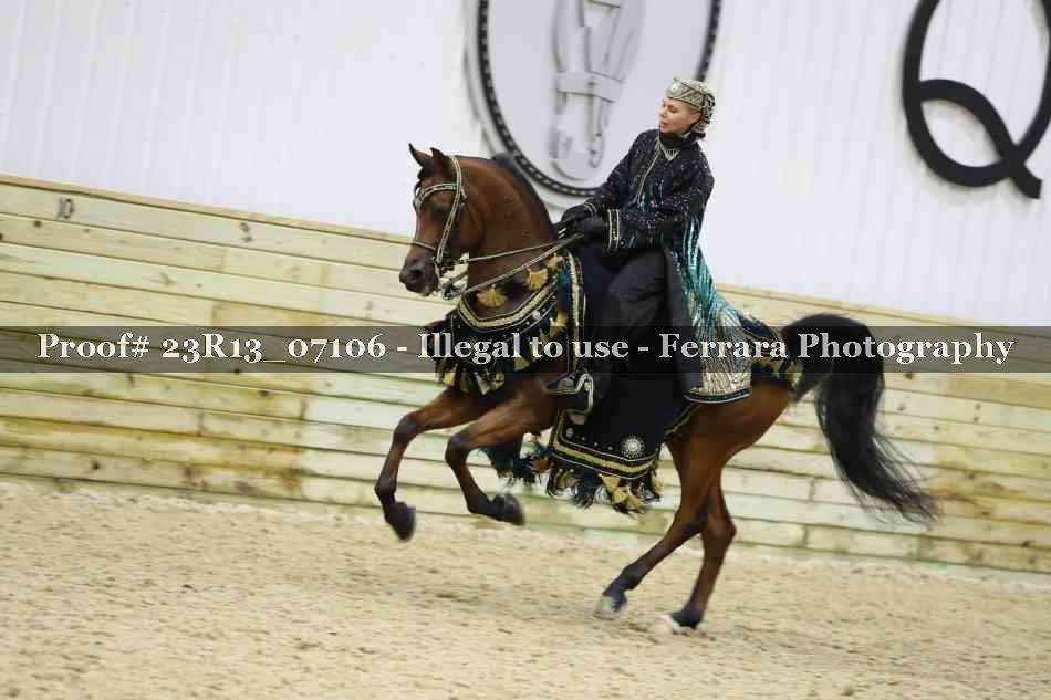 Proof Number 23R13_07106