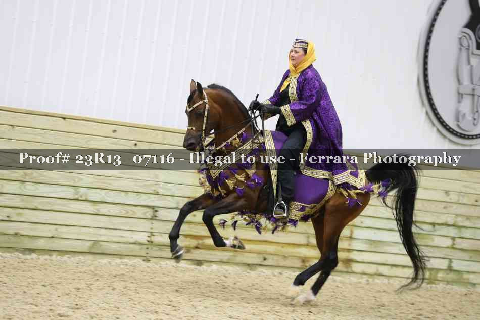 Proof Number 23R13_07116