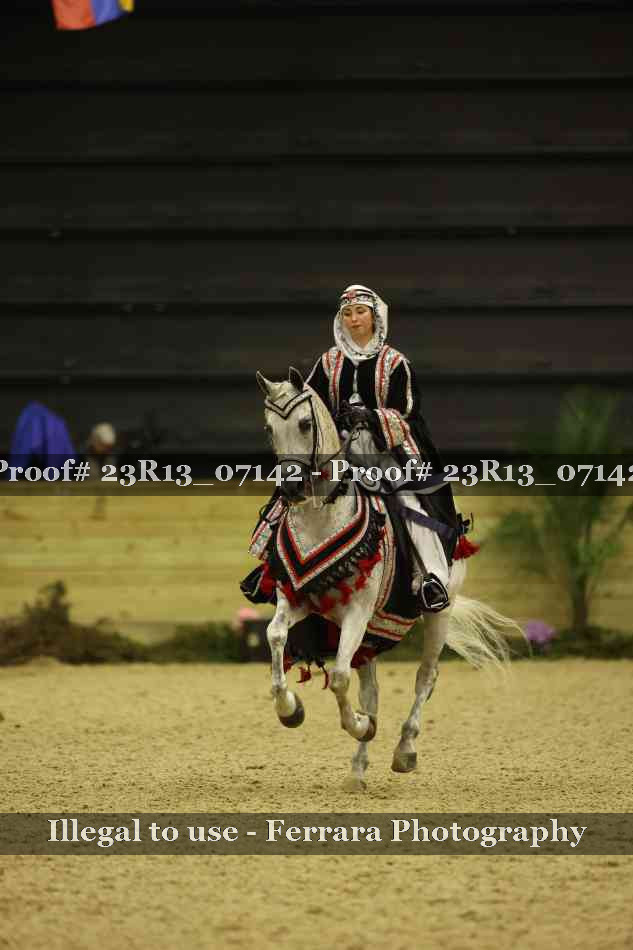 Proof Number 23R13_07142