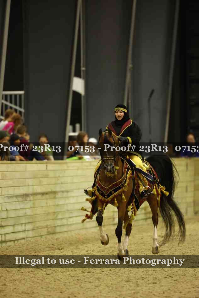 Proof Number 23R13_07153