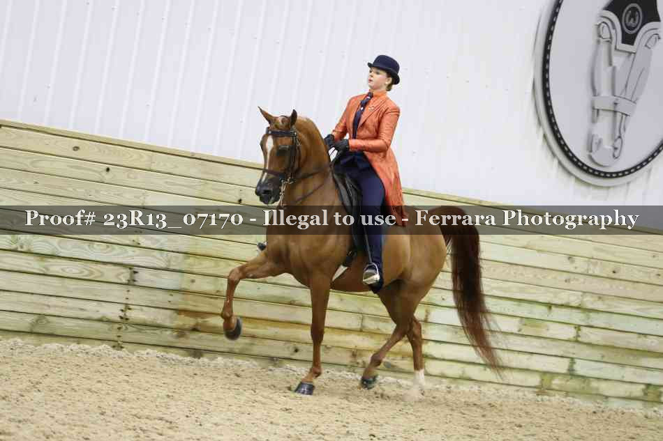 Proof Number 23R13_07170